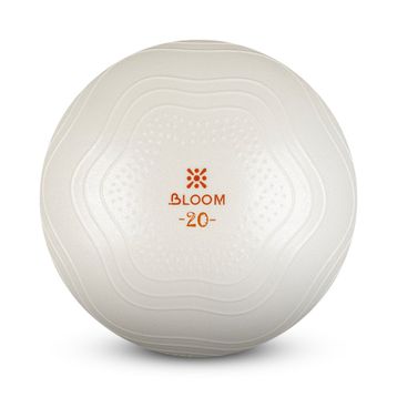 Bloom Lb7001 20 cm Beyaz Mini Pilates Topu Pompası