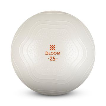 Bloom Lb7001 25 cm Beyaz Mini Pilates Topu Pompası