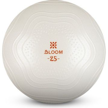 Bloom Lb7001 25 cm Beyaz Mini Pilates Topu Pompası