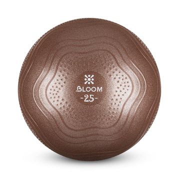 Bloom Lb7001 25 cm Kahverengi Mini Pilates Topu Pompası