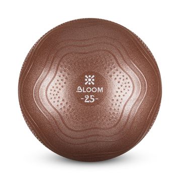 Bloom Lb7001 25 cm Kahverengi Mini Pilates Topu Pompası