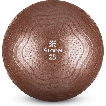 Bloom Lb7001 25 cm Kahverengi Mini Pilates Topu Pompası
