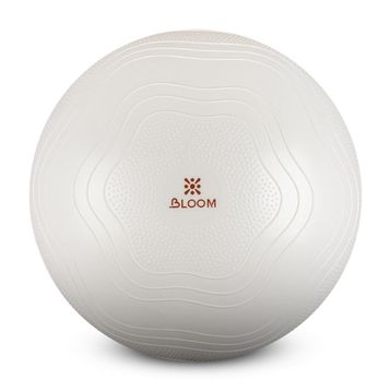 Bloom LB7051 55 cm Beyaz Pilates Topu