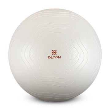 Bloom LB7051 55 cm Beyaz Pilates Topu