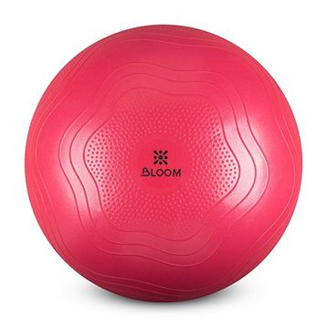Bloom LB7051 55 cm Pembe Pilates Topu