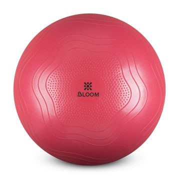 Bloom LB7051 55 cm Pembe Pilates Topu
