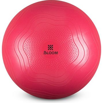Bloom LB7051 55 cm Pembe Pilates Topu