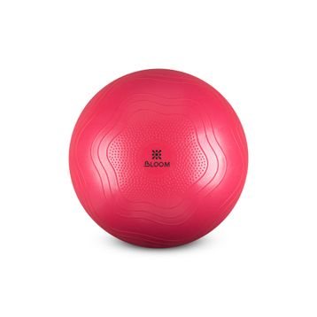 Bloom LB7051 65 cm Pembe Pilates Topu