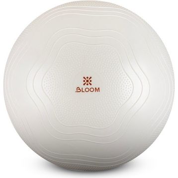 Bloom LB7051 75 cm Beyaz Pilates Topu