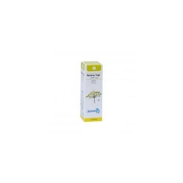 Blue Ocean 20 ml Rezene Yağı