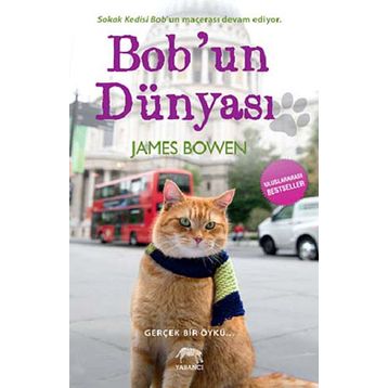 BOBUN DÜNYASI - JAMES BOWEN
