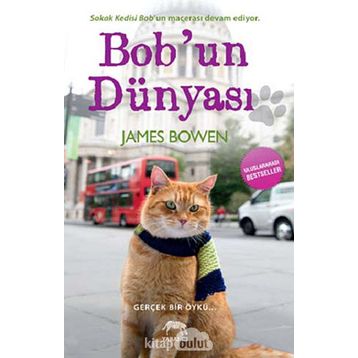 BOBUN DÜNYASI - JAMES BOWEN