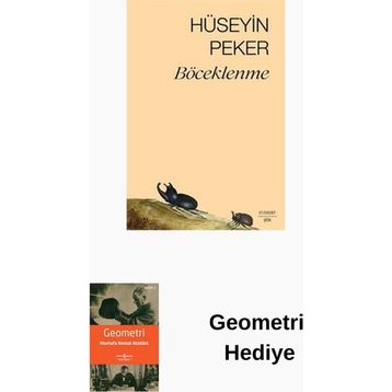 Böceklenme Everest Yayınları