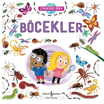 Böcekler - Çevremizdeki Dünya - Kolektif