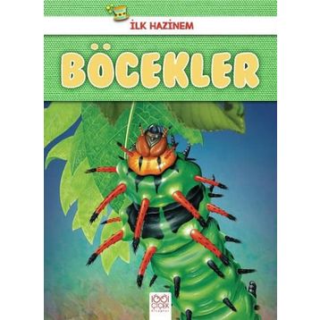 Böcekler-İlk Hazinem - Denise Ryan