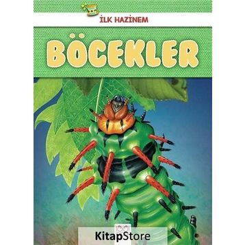 Böcekler-İlk Hazinem - Denise Ryan