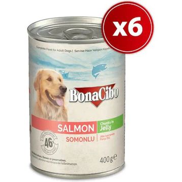BonaCibo Somonlu Yetişkin 6x400 gr Köpek Konserve Yaş Mama