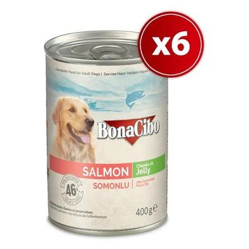 BonaCibo Somonlu Yetişkin 6x400 gr Köpek Konserve Yaş Mama