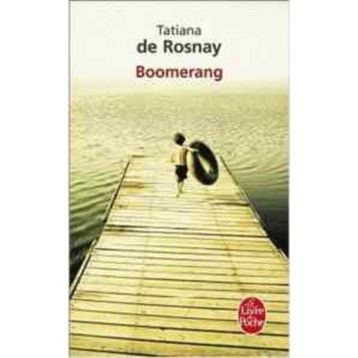 Boomerang - Michael Lewis