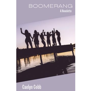 Boomerang - Michael Lewis