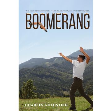 Boomerang - Michael Lewis