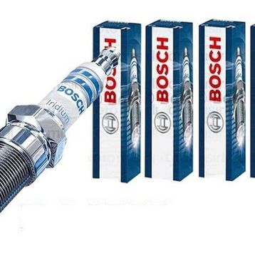 Bosch 0242135529 Buji
