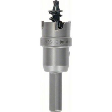 Bosch 22 mm TCT Elmas Uçlu Panç