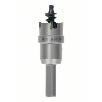 Bosch 22 mm TCT Elmas Uçlu Panç