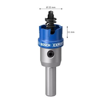 Bosch 22 mm TCT Elmas Uçlu Panç