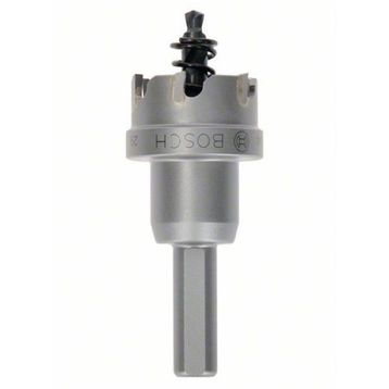 Bosch 22 mm TCT Elmas Uçlu Panç