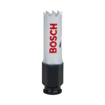 Bosch 2608584614 Progressor For Woodandmetal 17 mm Panç