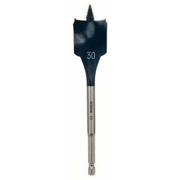Bosch 2608595497 30x152 mm Matkap Ucu