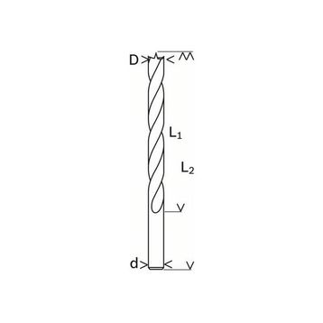 Bosch 585 mm 2608596302 Ahşap Matkap Ucu