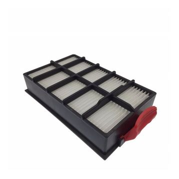 Bosch BGS6PRO2 Hepa Filtre