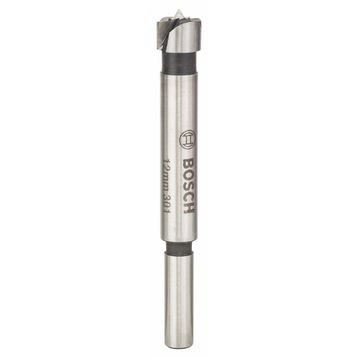 Bosch Pro Darbeli 100 mm Matkap Ucu