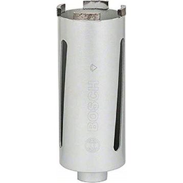 Bosch Professional Elmas Özel 65 mm Matkap Ucu