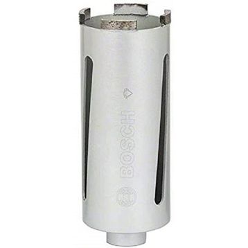 Bosch Professional Elmas Özel 65 mm Matkap Ucu