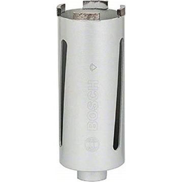 Bosch Professional Elmas Özel 65 mm Matkap Ucu