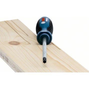 Bosch Profesyonel TX40x125 mm Torx Tornavida