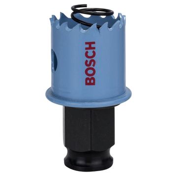 Bosch Sheet Metal 27 mm 2608584785 Panç Testere