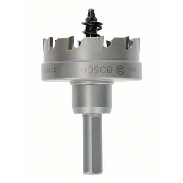 Bosch Tct 43 mm Elmas Uçlu Panç