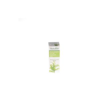 Botalife 10 ml Servi Ağacı Yağı