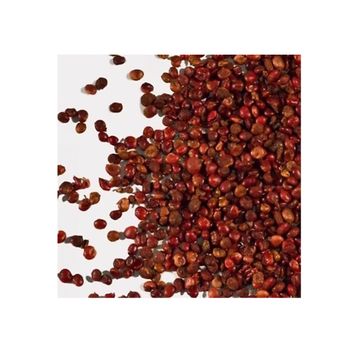 Botanik Sağlık 100 gr Tane Sumak