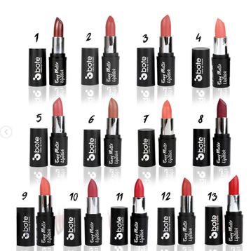 Bote Makeup Envy Matte 11 Ruj