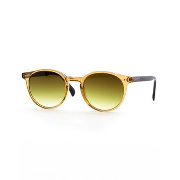 BOTTICELLI BT129C201P Unisex Limited Güneş Gözlüğü