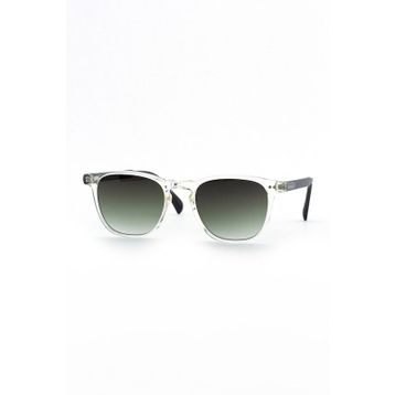 BOTTICELLI BT131C102P Unisex Limited Güneş Gözlüğü