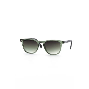 Botticelli BT131C405P Unisex Limited Güneş Gözlüğü