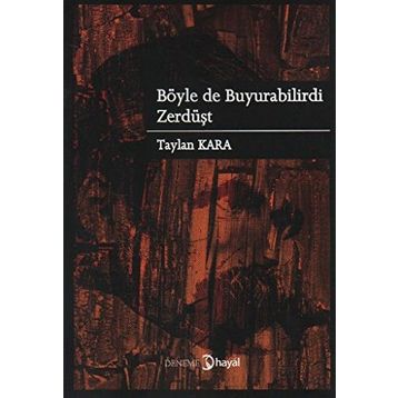 Böyle De Buyurabilirdi Zerdüşt - Taylan Kara