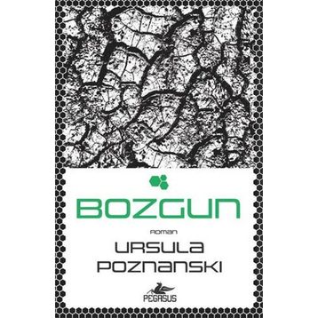 Bozgun Pegasus Yayınları