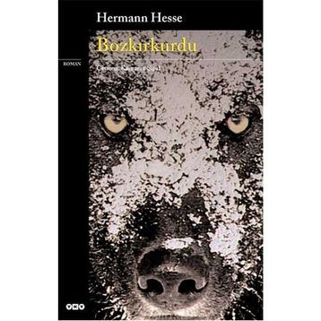 Bozkırkurdu - Hermann Hesse